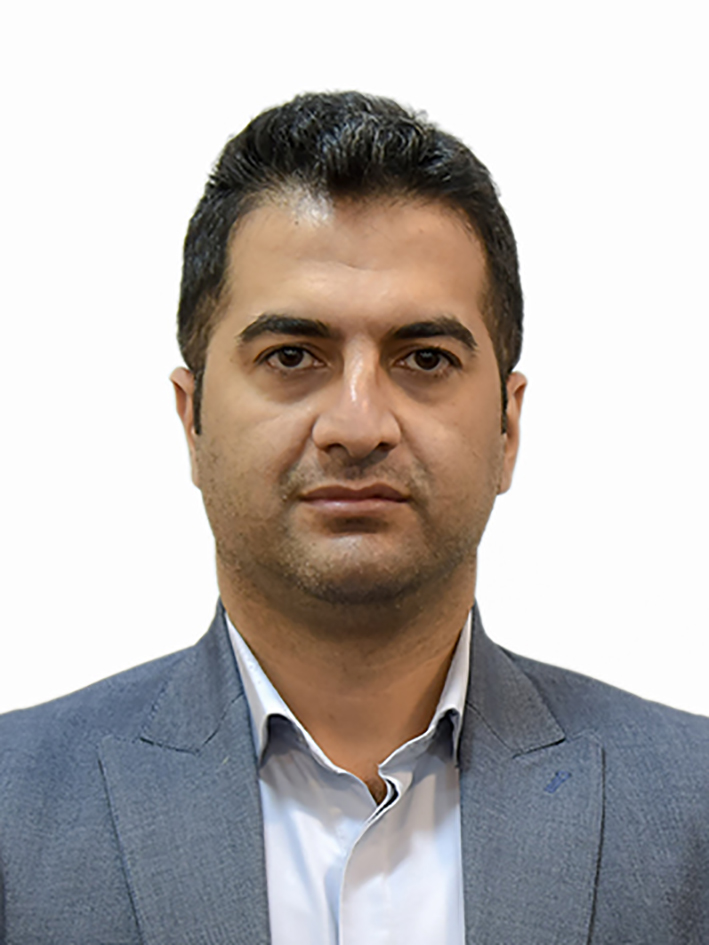 حامد نبی پور